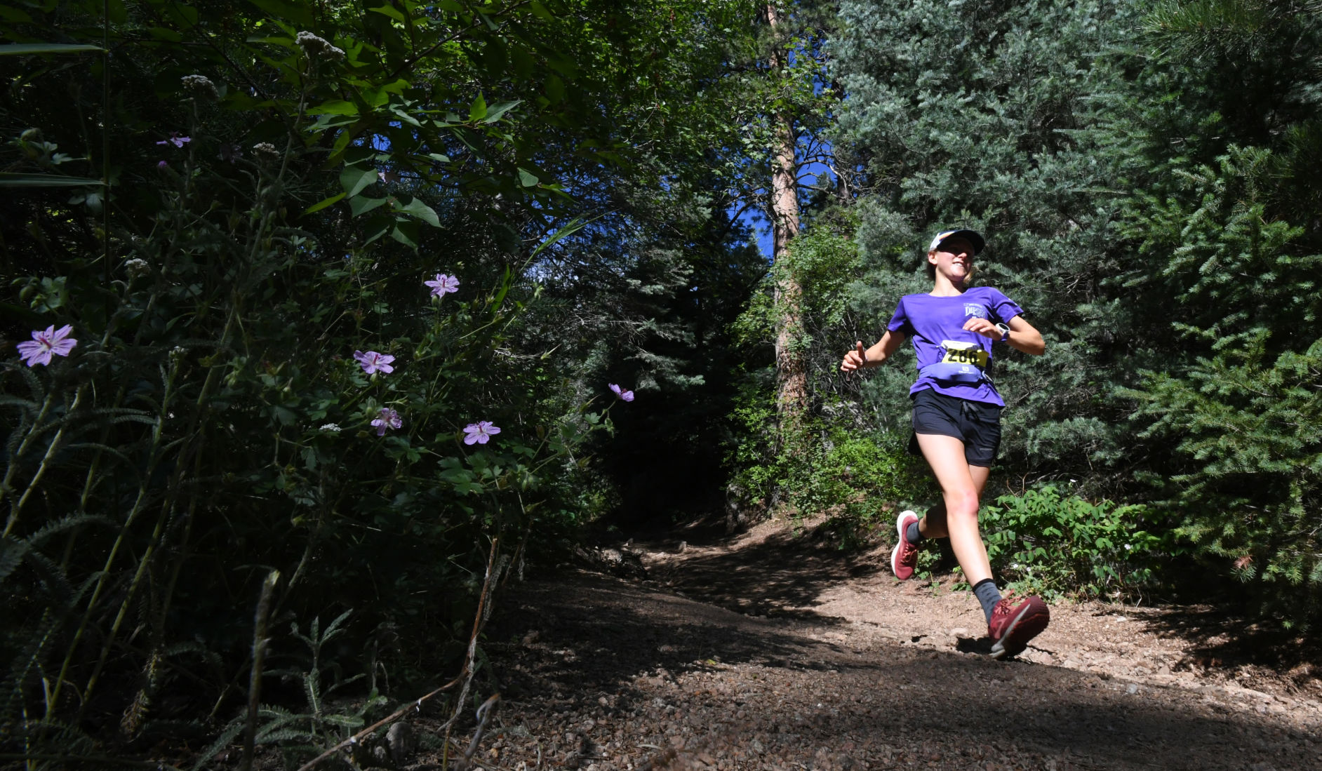 072919-s-barr-trail 12.JPG